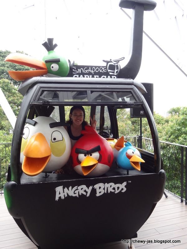 angry birds rc car